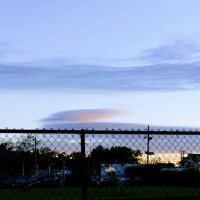 Dog Park ico