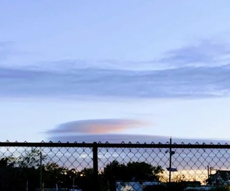Dog Park