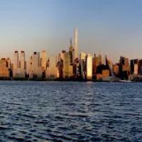 View point ico
