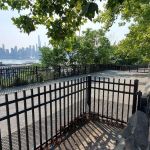 Dog Park