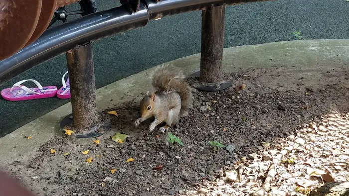 Tot Lot Park Picture 1