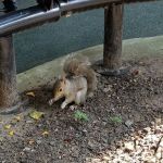 Tot Lot Park