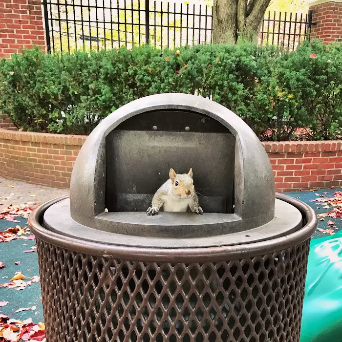 Tot Lot Park Picture 7