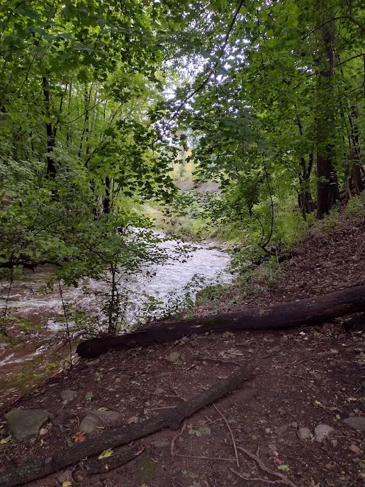Creekside Sculpture Trail Picture 9
