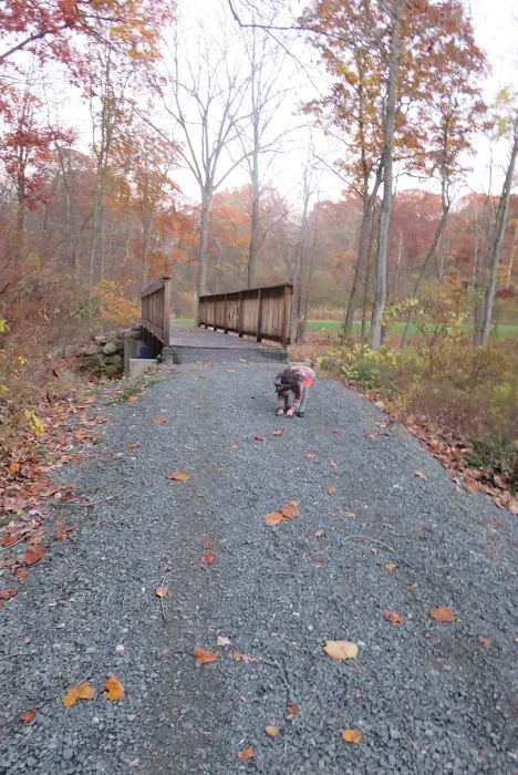 Burgess Meredith Park Picture 3