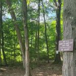TMI trail parking