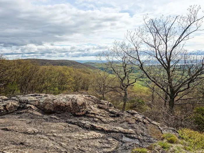 Panther Mountain Picture 2