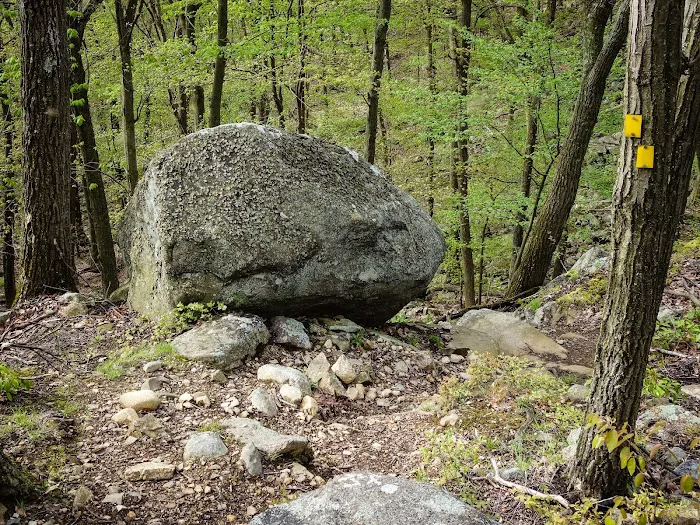 Panther Mountain Picture 6