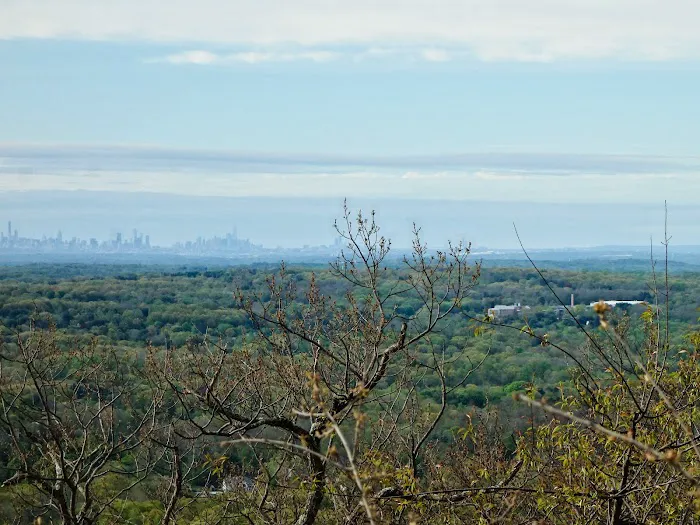 Panther Mountain Picture 5