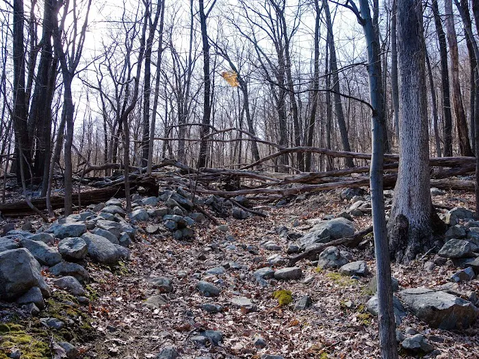 Panther Mountain Picture 9