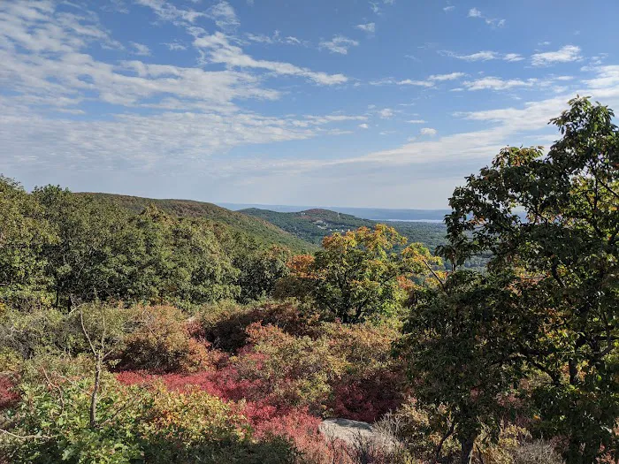Panther Mountain Picture 7
