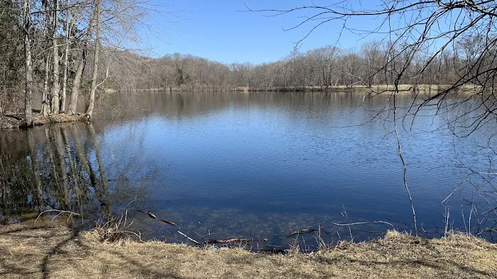 Scarlet Oak Pond Walk Picture 2