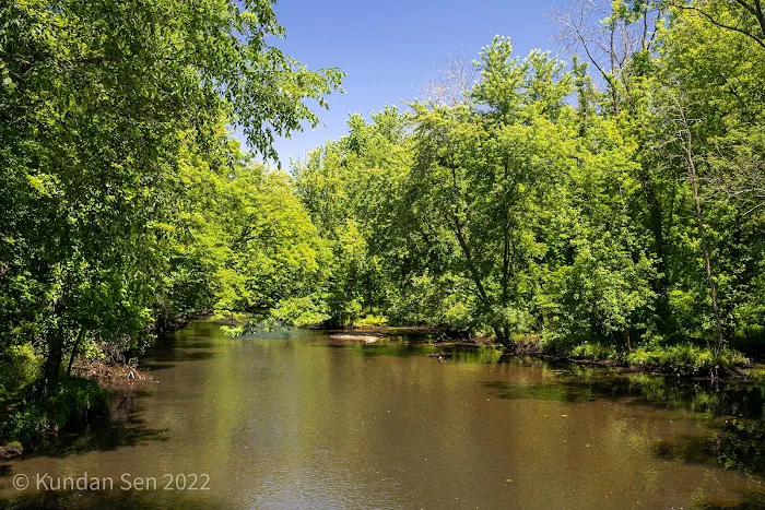 Scarlet Oak Pond Walk Picture 3