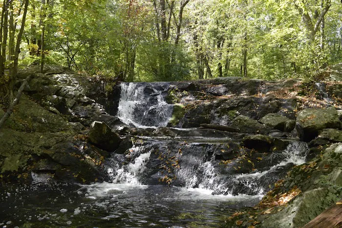 Scarlet Oak Pond Walk Picture 4