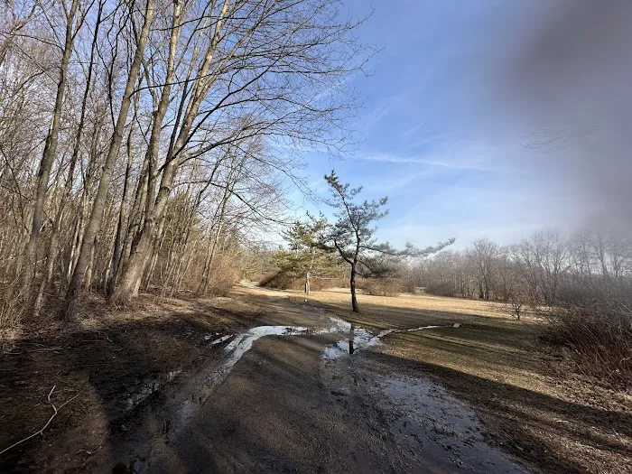 Scarlet Oak Pond Walk Picture 6
