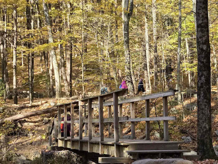 Ramapo Valley County Reservation Picture 10
