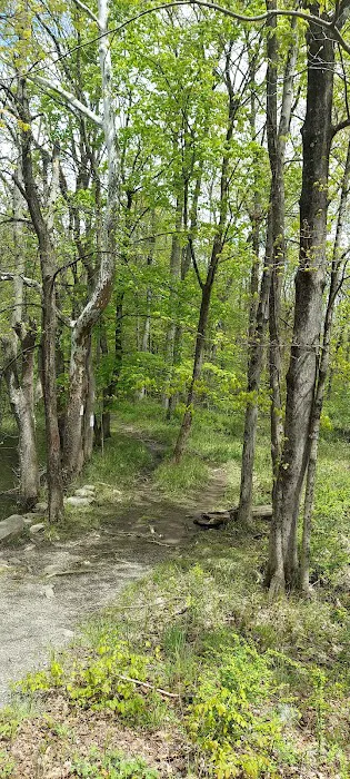 Ramapo Valley County Reservation Picture 5