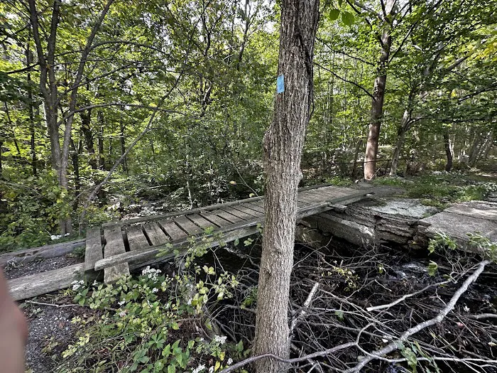 Ramapo River Access - Ramapo Reservation Picture 8