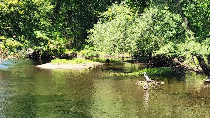 Ramapo River Access - Ramapo Reservation Picture 2