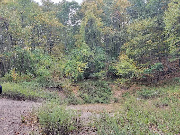 Ramapo River Access - Ramapo Reservation Picture 3