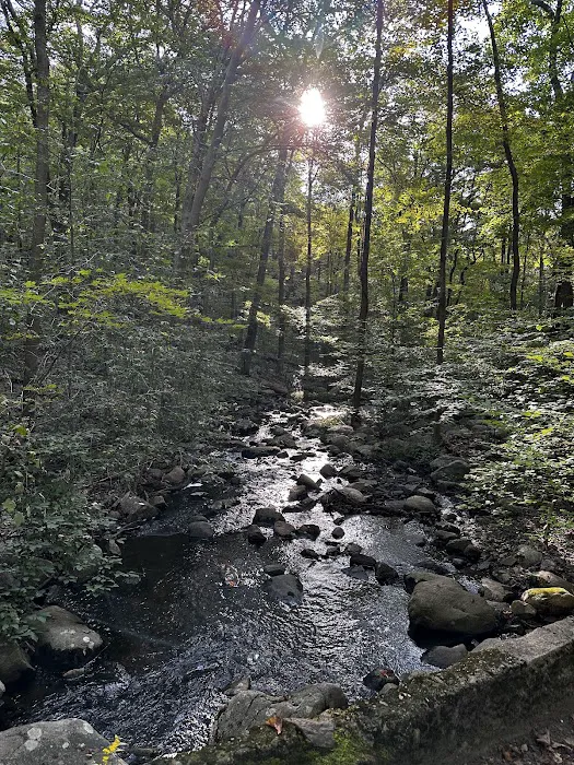 Ramapo River Access - Ramapo Reservation Picture 9
