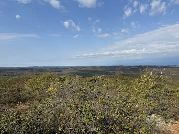 Torne View Picture 8