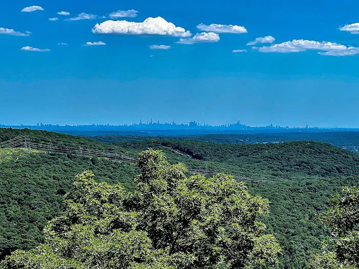 Torne View Picture 6