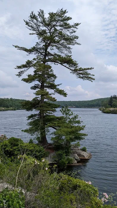 Pine Meadow Trail Picture 4