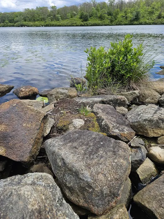 Pine Meadow Trail Picture 9