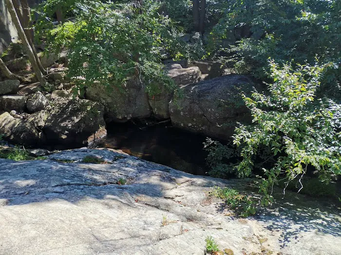 Pine Meadow Trail Picture 6