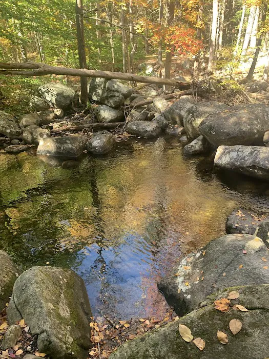 Pine Meadow Trail Picture 5