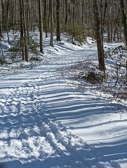 Pine Meadow Trail Picture 10