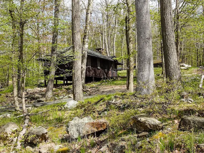 Camp Homeward Bound Picture 7