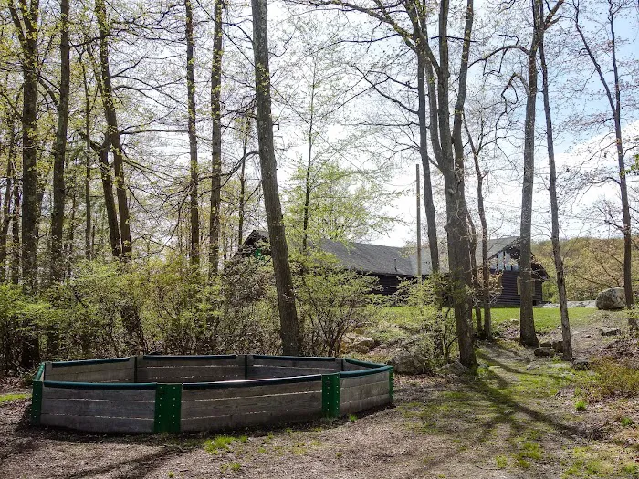 Camp Homeward Bound Picture 10