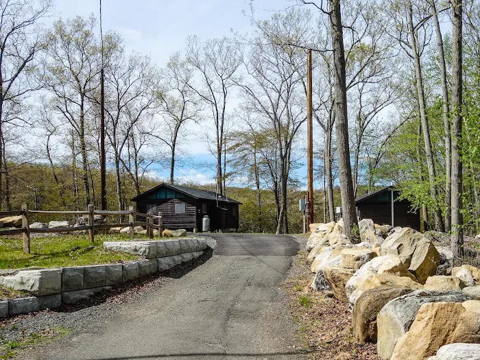 Camp Homeward Bound Picture 5