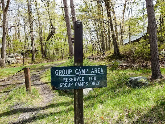 Camp Homeward Bound Picture 6