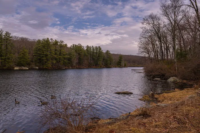 Lake Kanawauke Picture 5