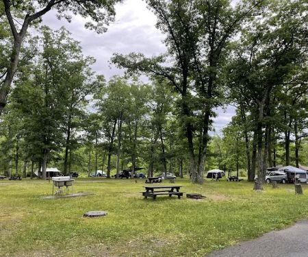Beaver Pond Campground