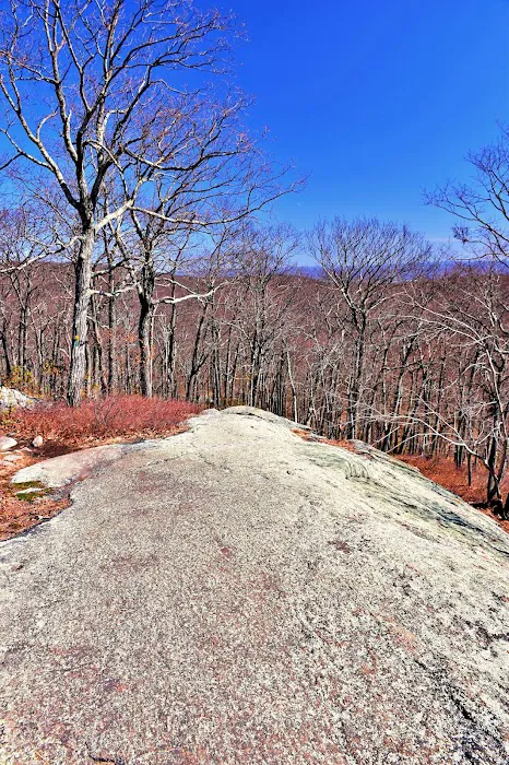 Big Hill & Jackie Jones Mountain Trail Picture 5