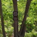 Hiker's parking