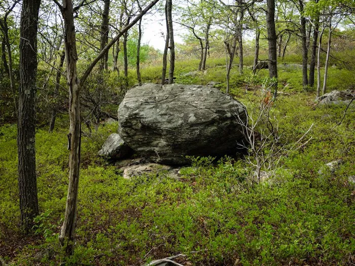 Ladentown Mountain Picture 9
