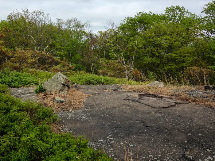 Ladentown Mountain Picture 3