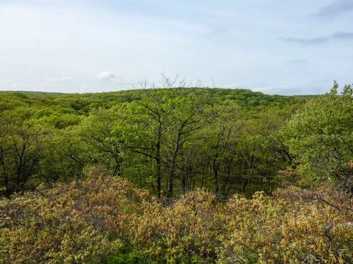 Ladentown Mountain Picture 1