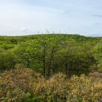 Ladentown Mountain