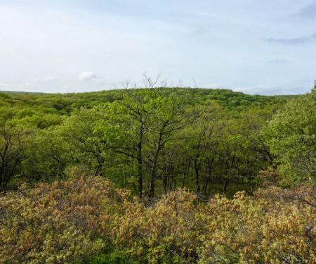 Ladentown Mountain