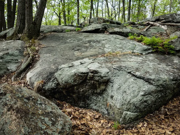 Ladentown Mountain Picture 5
