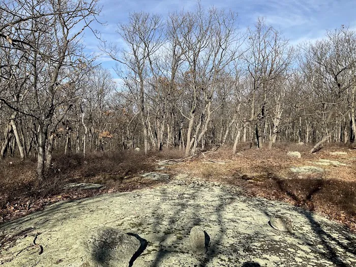 Ladentown Mountain Picture 10