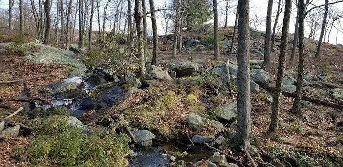 Ship Rock Picture 2