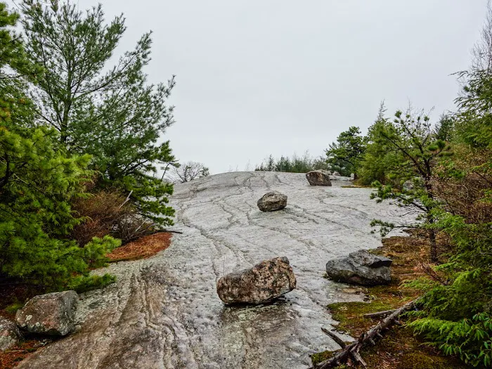 Surebridge Mountain Picture 2