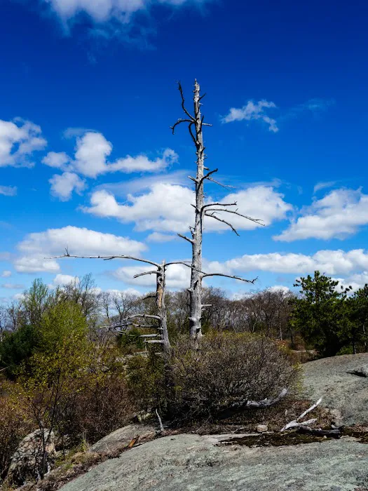 Surebridge Mountain Picture 3